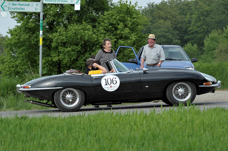 106b_Jaguar.jpg